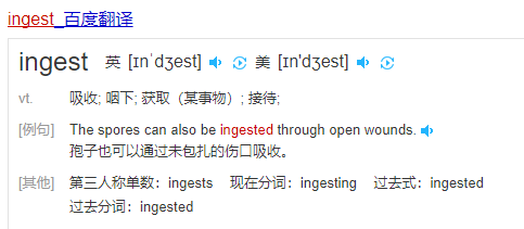 IN翻譯下載，全新翻譯領(lǐng)域體驗探索