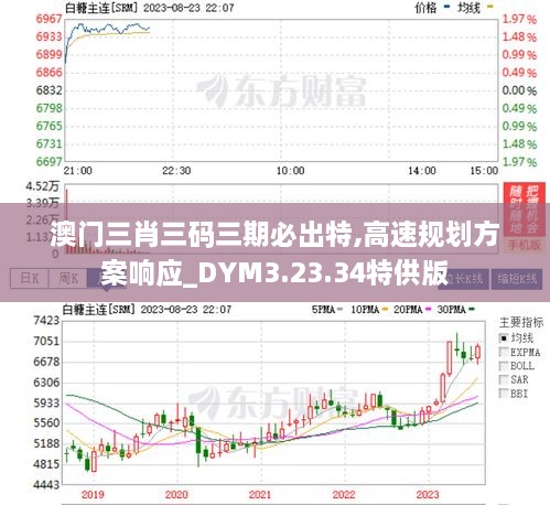 澳門三中三碼精準(zhǔn)100%,實(shí)地計劃設(shè)計驗(yàn)證_9DM56.233