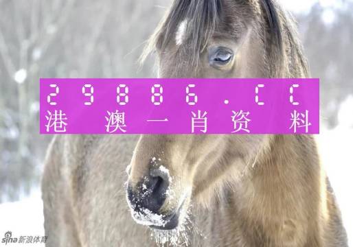 最準(zhǔn)一肖一碼100,綜合分析解釋定義_影像版80.730