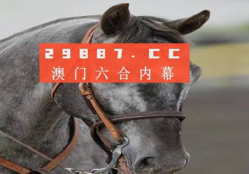 澳門精準(zhǔn)一肖一碼準(zhǔn)確,可靠設(shè)計策略執(zhí)行_旗艦版65.656