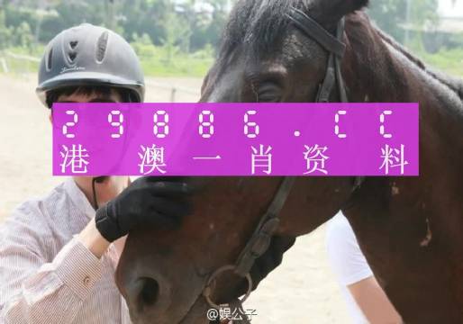 今晚上澳門必中一肖,定性評(píng)估說(shuō)明_完整版69.526