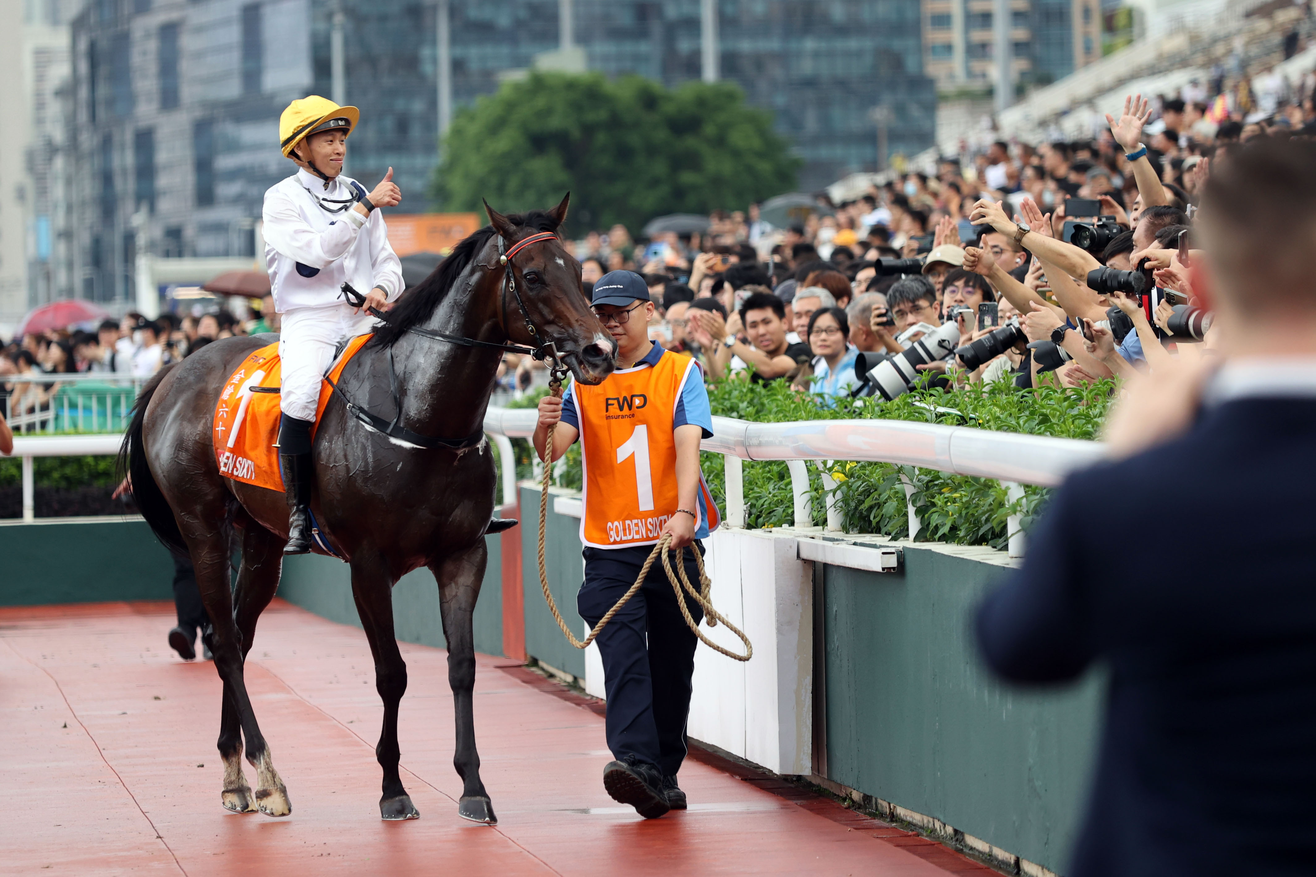 2024香港賽馬全年免費(fèi)資料,實(shí)地?cái)?shù)據(jù)驗(yàn)證設(shè)計(jì)_OP11.959