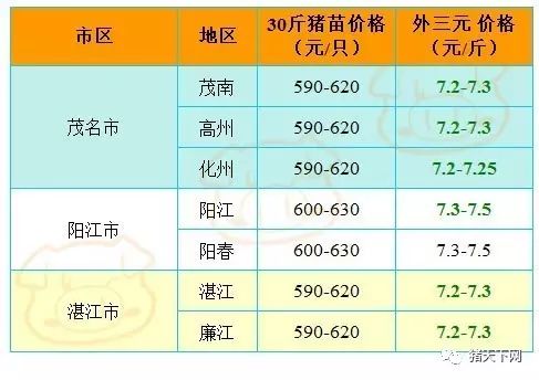 二四六天好彩(944cc)免費資料大全,狀況分析解析說明_黃金版39.711