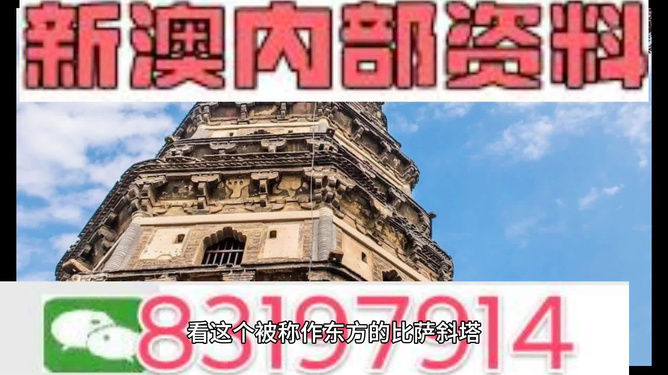 2024新澳精準(zhǔn)資料免費(fèi)提供,澳門內(nèi)部,綜合分析解釋定義_W53.517