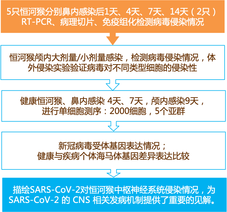 新奧精準(zhǔn)資料免費(fèi)提供,效率資料解釋落實(shí)_V73.408