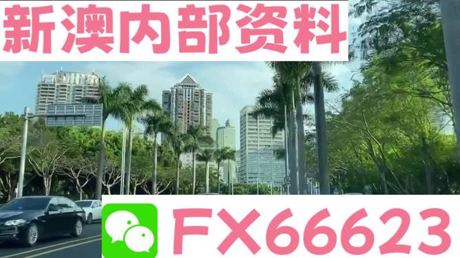 新澳精準(zhǔn)資料免費(fèi)提供,效率資料解釋落實(shí)_領(lǐng)航款58.322