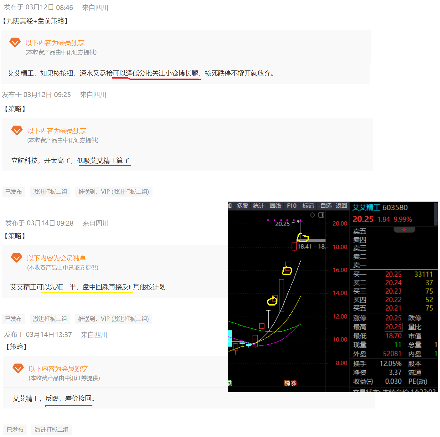 2024年12月15日 第31頁