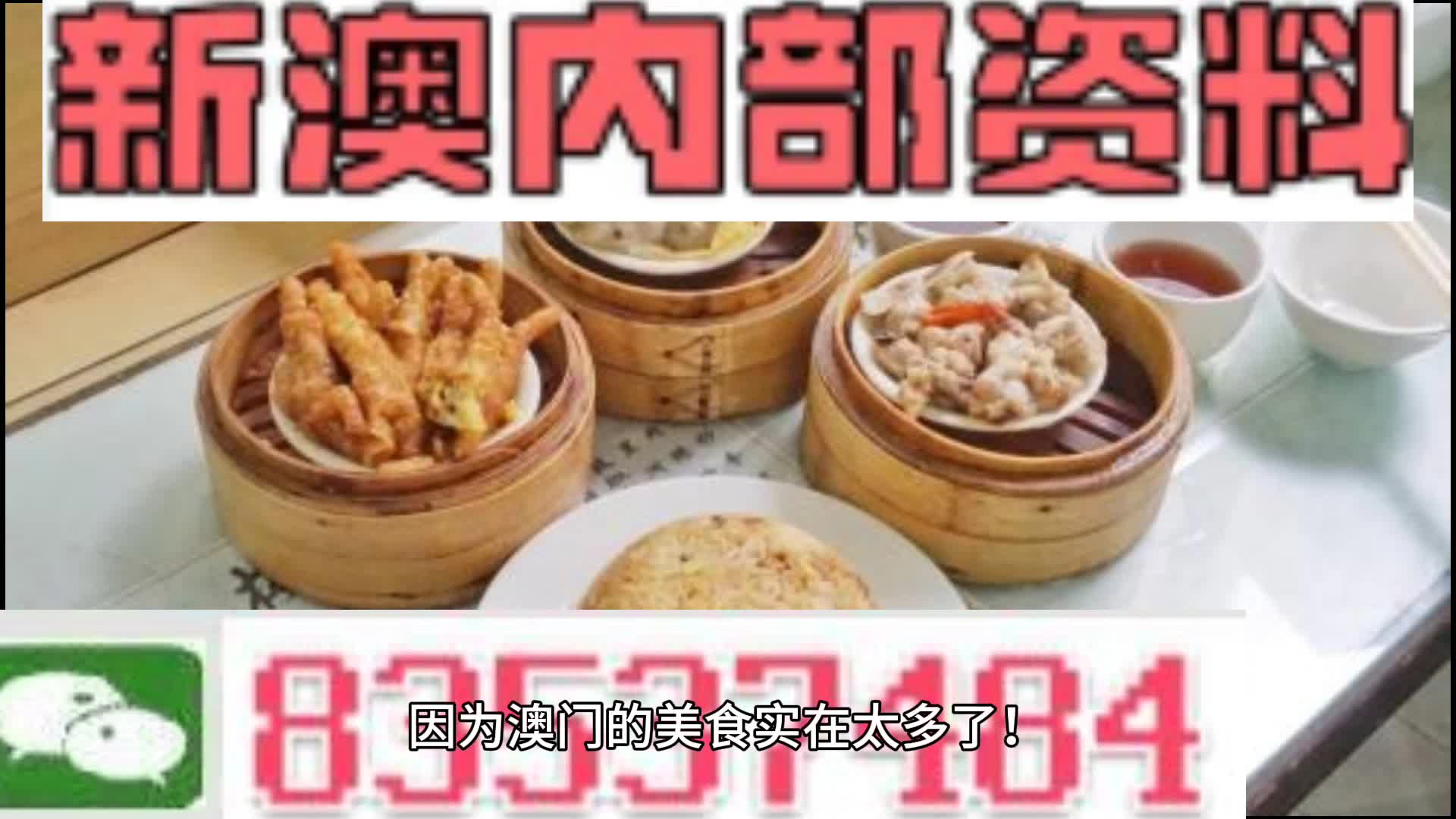 新澳門資料大全正版資料2024年免費下載,家野中特,實地數(shù)據(jù)驗證策略_專家版73.946