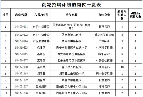 加查縣級(jí)托養(yǎng)福利事業(yè)單位發(fā)展規(guī)劃概覽