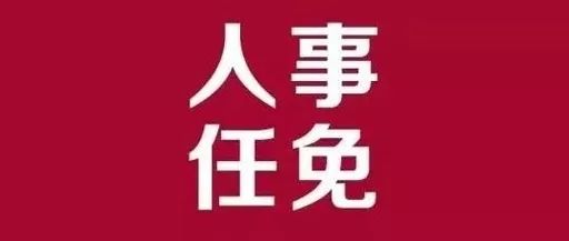 平谷區(qū)審計局人事任命揭曉，深遠影響的背后