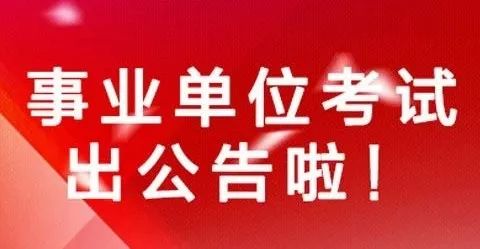 杞縣審計局最新招聘信息詳解，職位、要求與相關(guān)內(nèi)容一網(wǎng)打盡