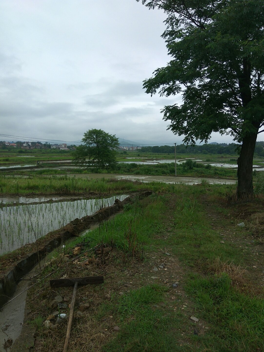 章鎮(zhèn)鎮(zhèn)天氣預報更新通知