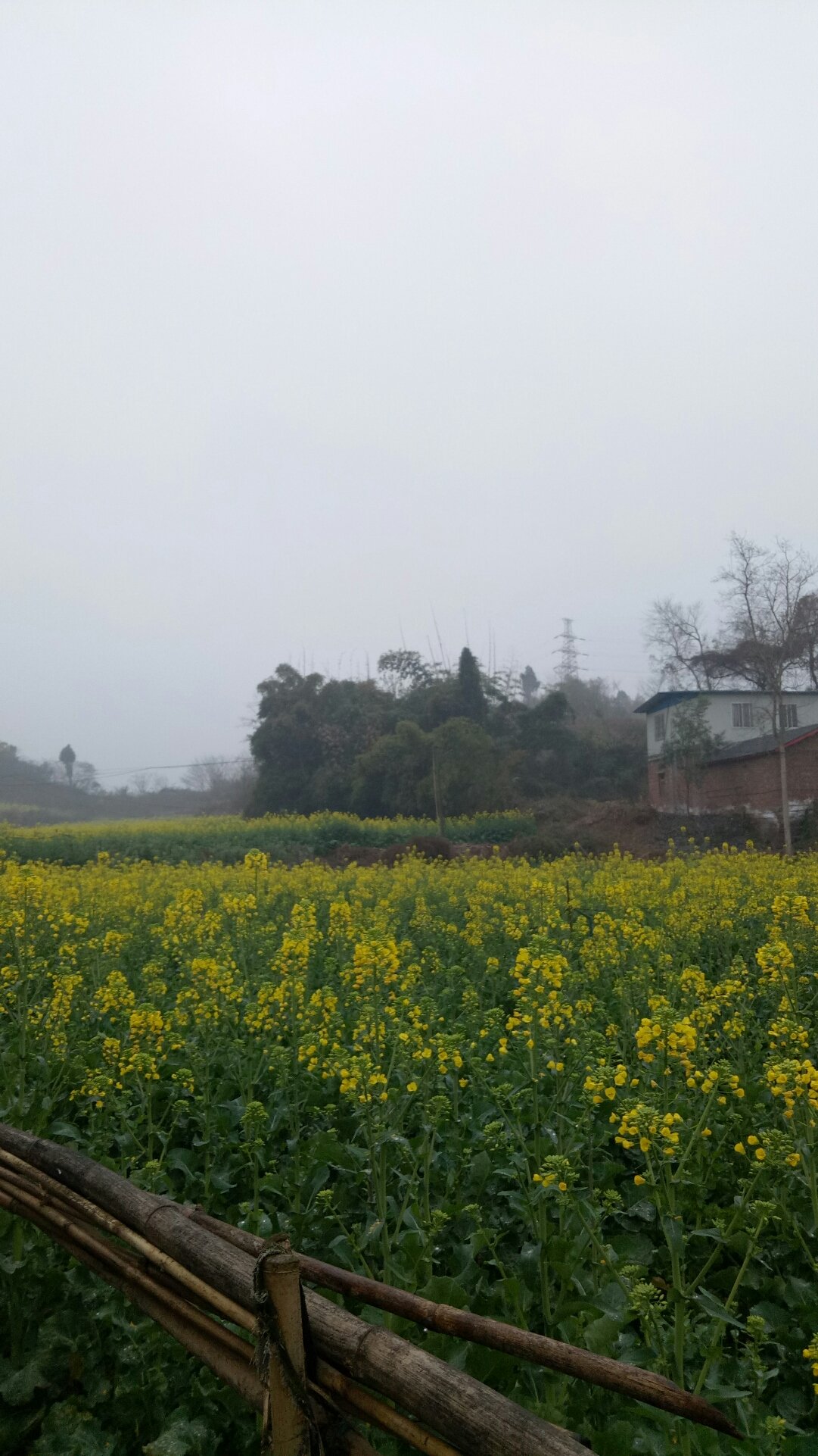 鄰鄂鎮(zhèn)最新天氣預(yù)報