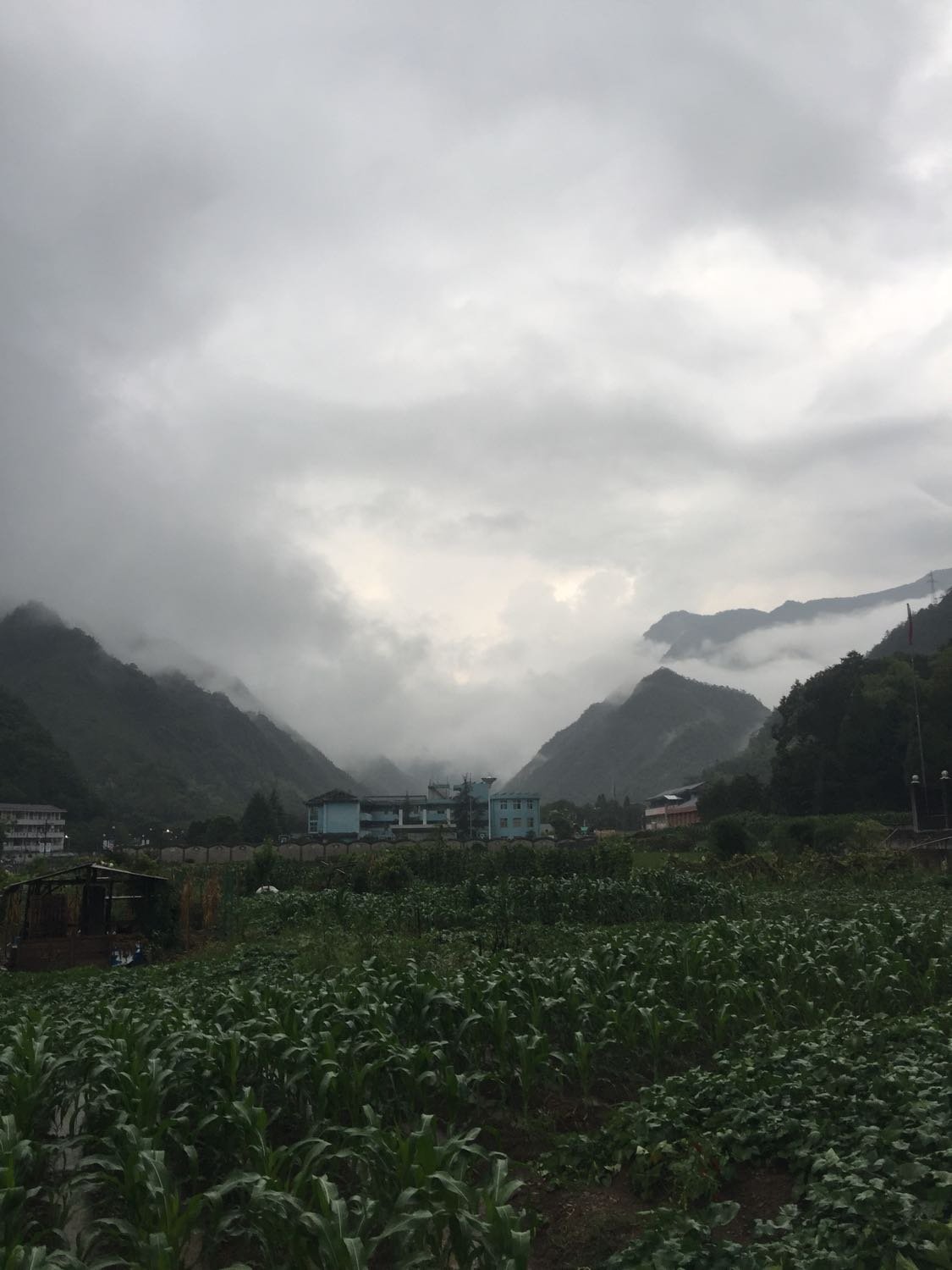 雨后彩虹