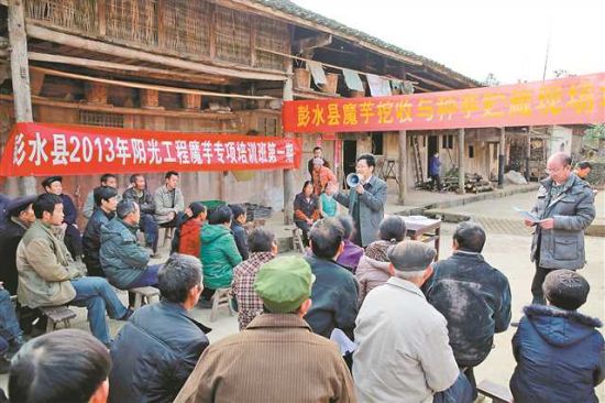 彭水苗族土家族自治縣小學(xué)最新新聞