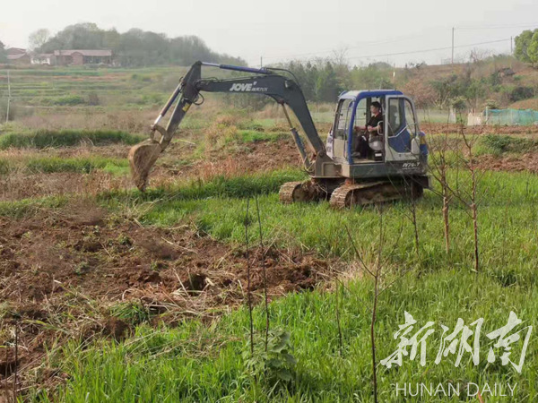 黃陽司鎮(zhèn)未來繁榮藍(lán)圖，最新發(fā)展規(guī)劃揭秘