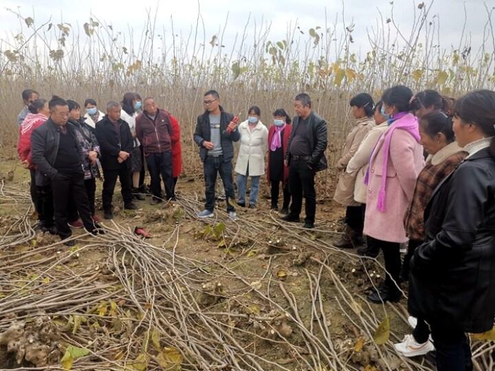 朱家堡村民委員會招聘啟事概覽