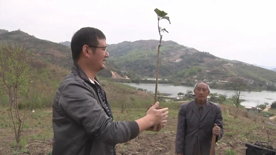 樂安鎮(zhèn)未來繁榮藍圖，最新發(fā)展規(guī)劃揭秘