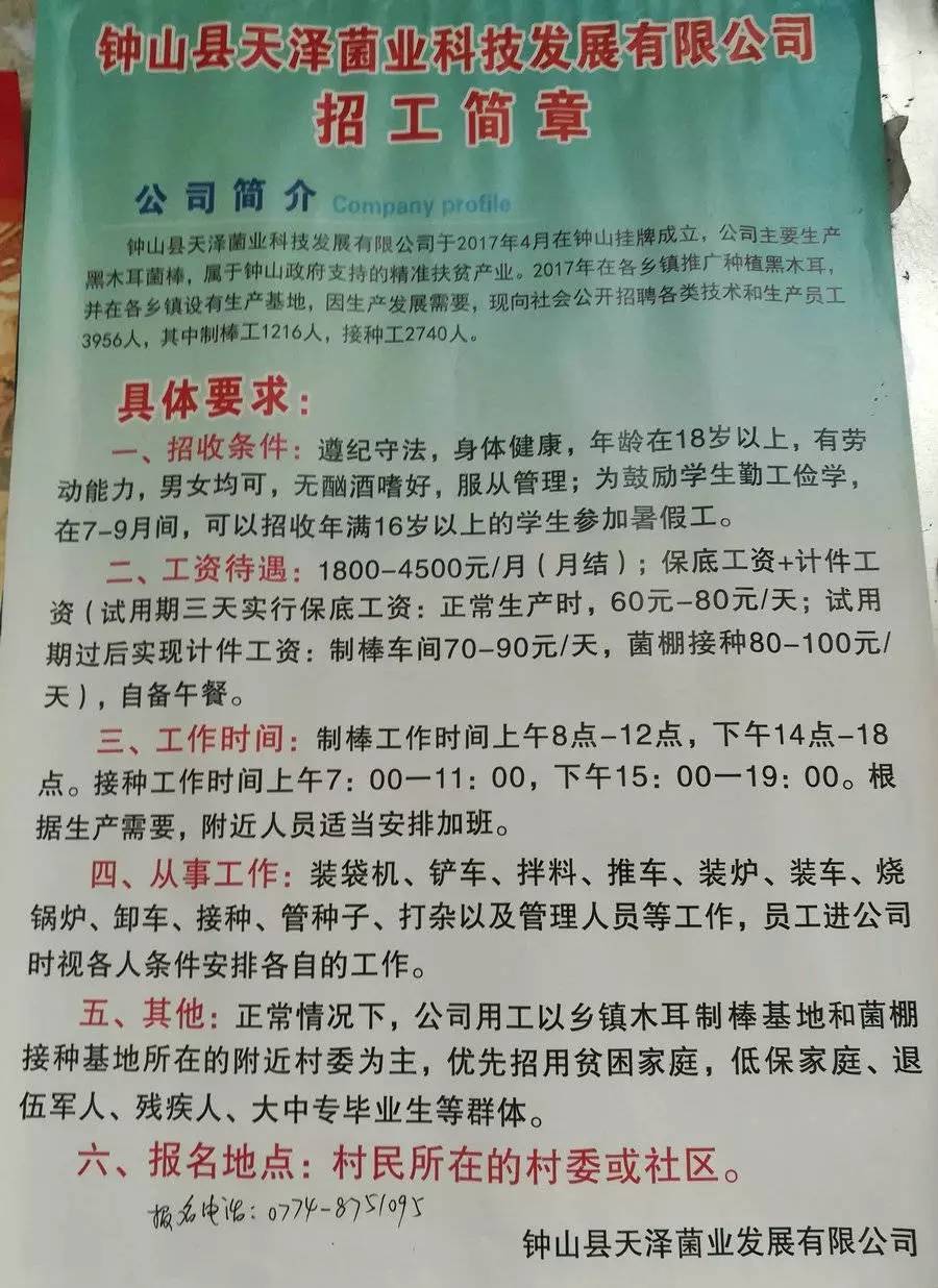 巖埝村最新招聘信息全面解析